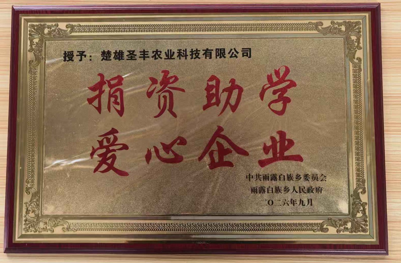 「捐资助学 爱心企业」荣誉牌 · 中共雨露白族乡委员会、雨露白族乡人民政府（二〇二六年九月）