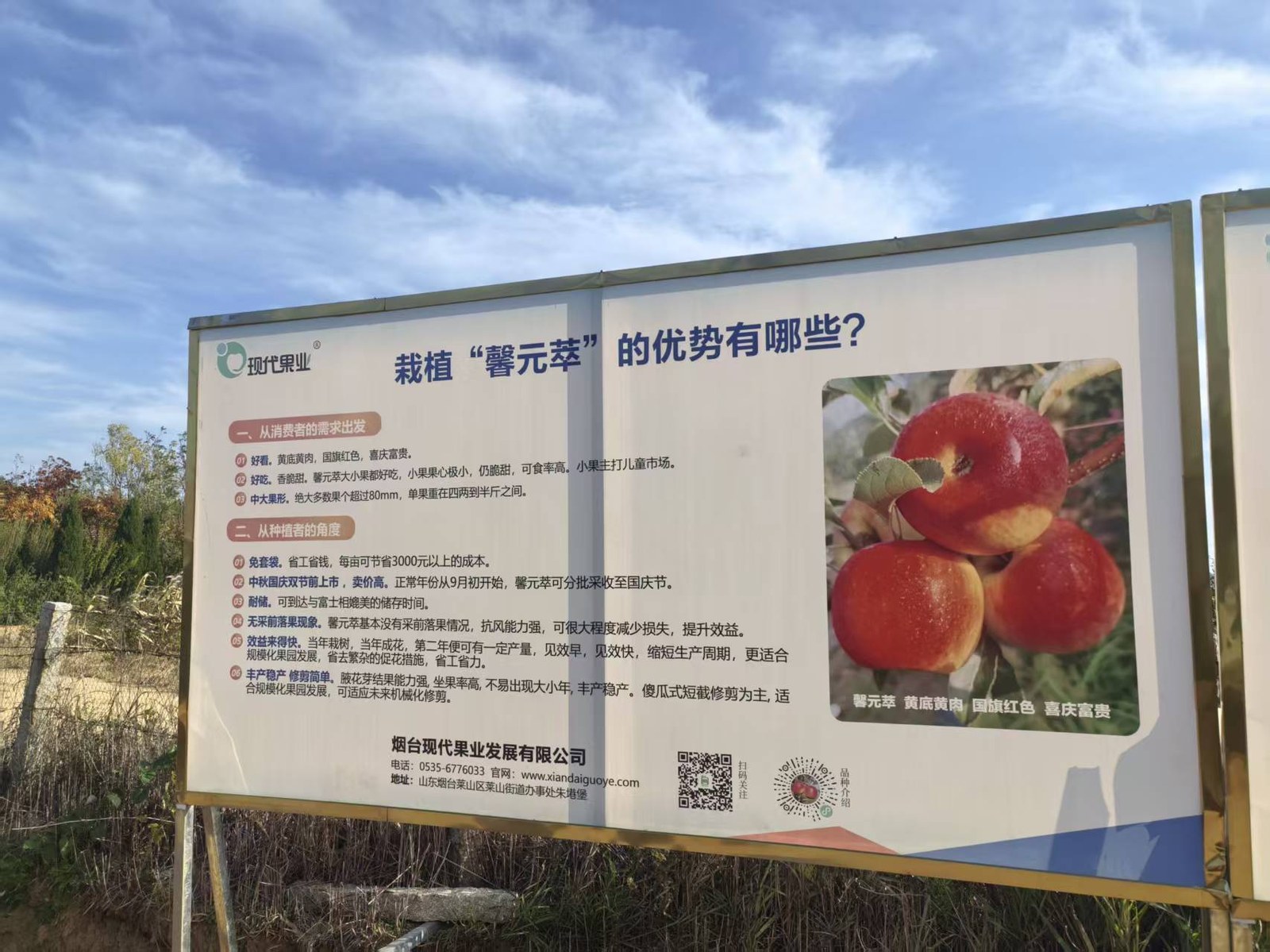 栽植“馨元萃”的优势有哪些？